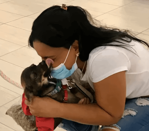 Animal shelter reunites asylum seeking woman from Cuba with her precious pup