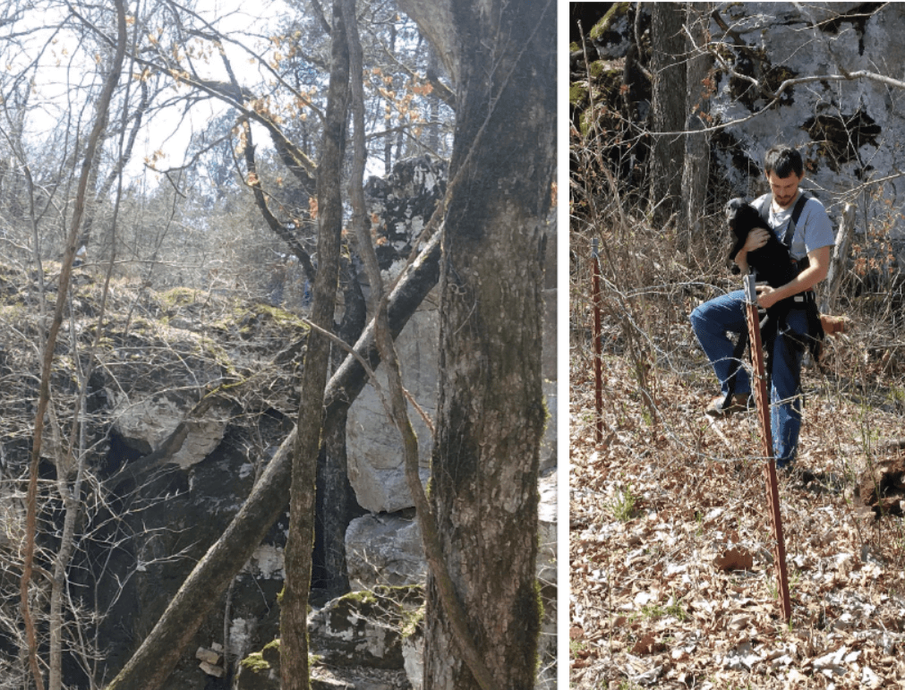 Firefighters save puppy who fell into a ravine
