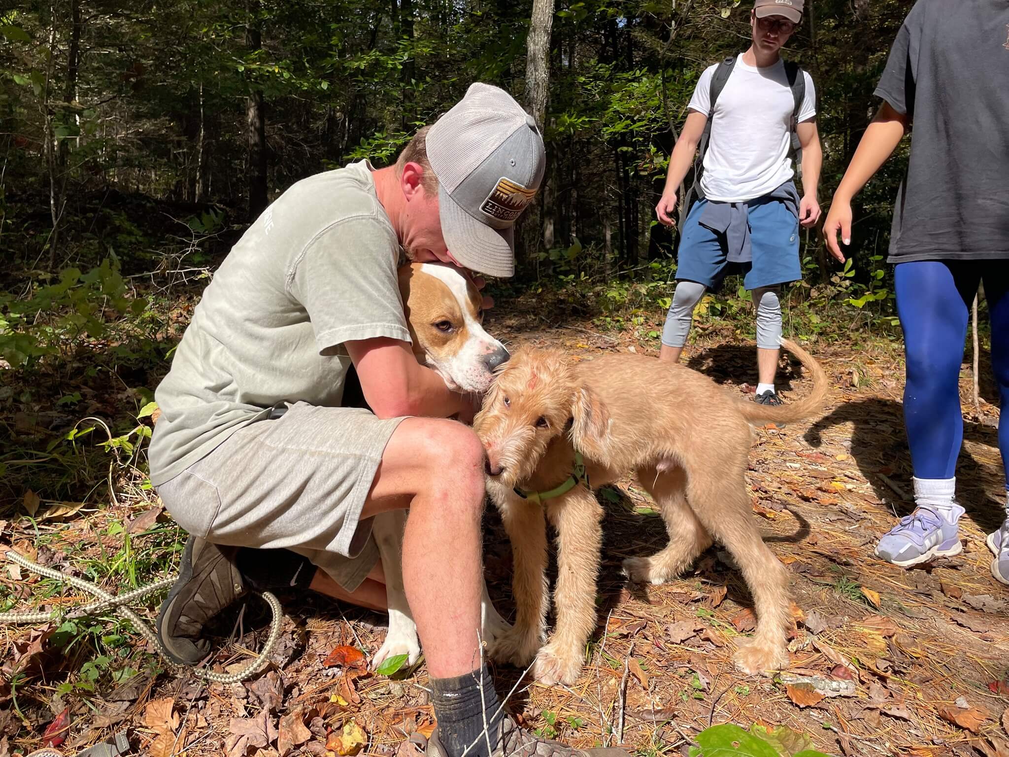 Miracles happen: Dog fell 170 feet off cliff in Red River Gorge and survived with just a few scratches