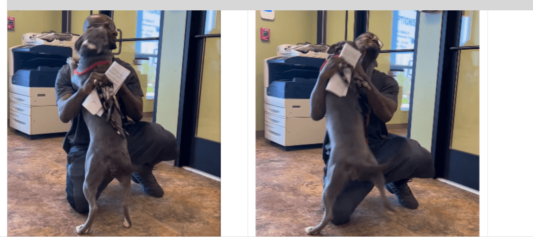 Stolen dog overwhelmed with joy when her dad finally finds her