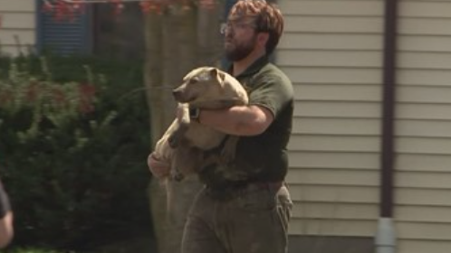 Delaware County man faces 30 animal cruelty charges after 40 dogs rescued