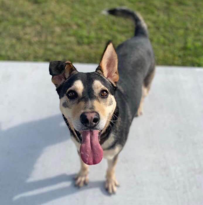 250 nights in the shelter as Rocky dreams about having a real home