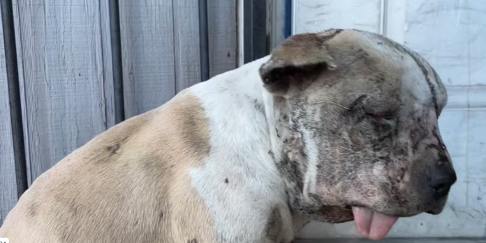 Living on the streets is so hard but help came just in time