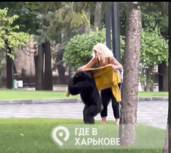 Runaway chimp