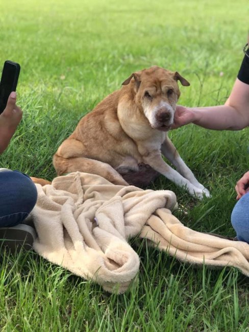 Don’t be so quick to judge: Sam’s bucket list on his last day