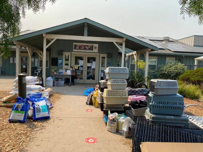 Santa Cruz County helping pets evacuated from the fires