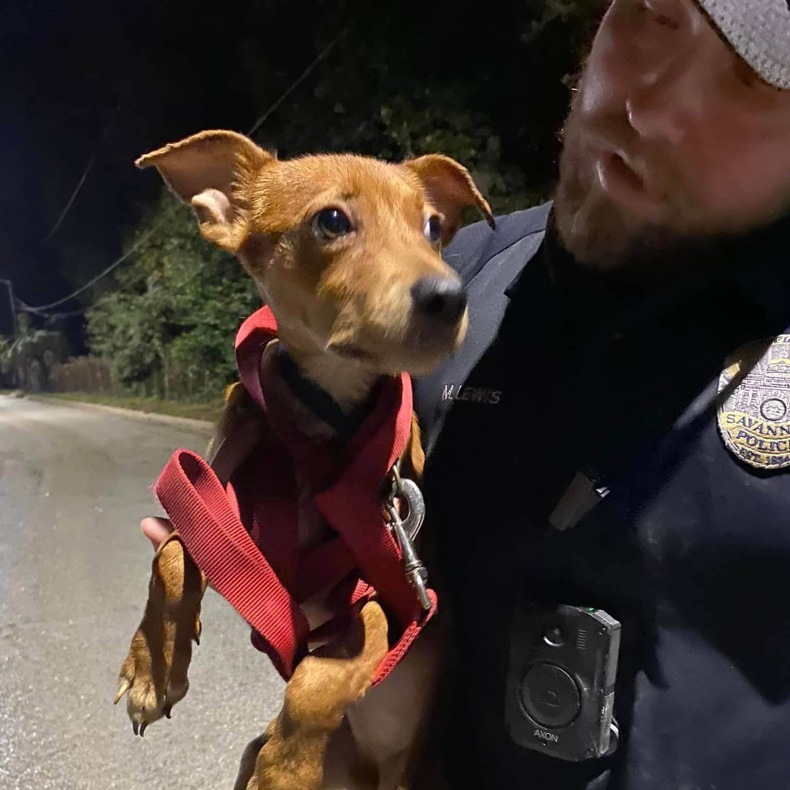 Police officer rescues dog left on side of road with bed and maggot filled food bowl