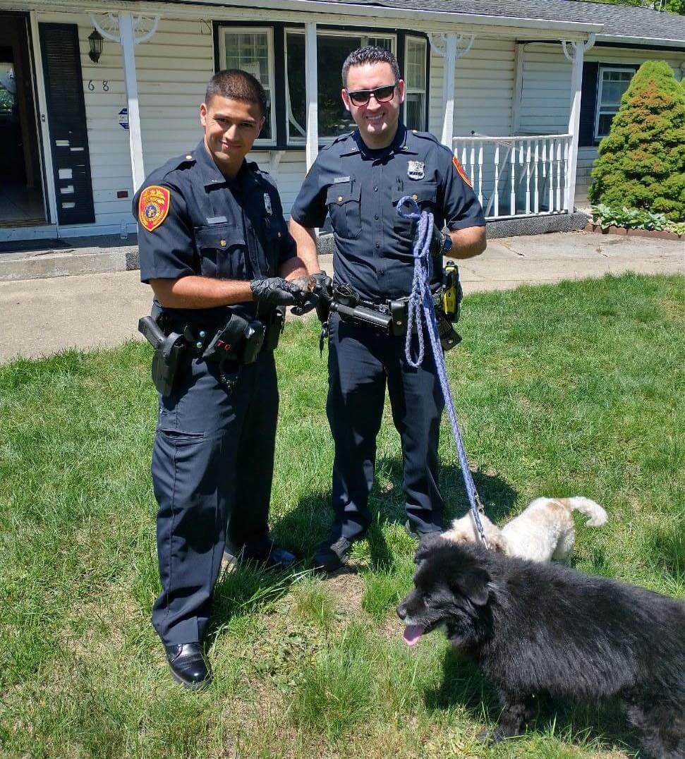 Above and beyond: Suffolk County police officer and town employee rescue 2 dogs from house fire