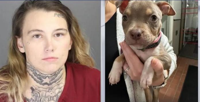 Warren woman dumps puppy in dumpster while leading police on speeding traffic chase