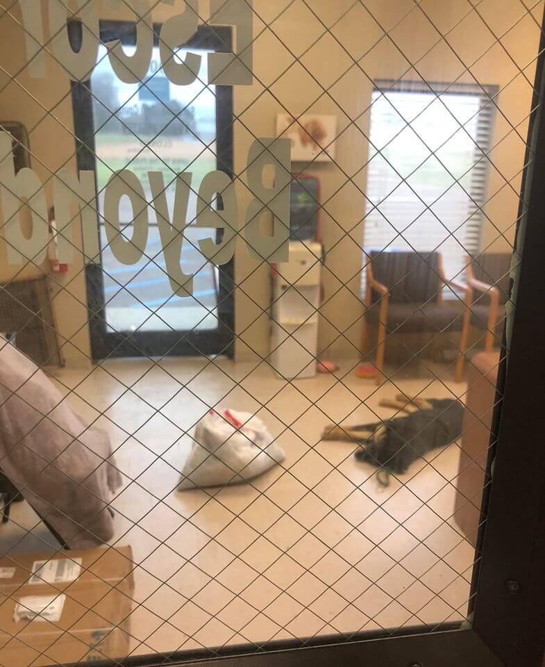 Homeless teen reunited with his dog after surrendering her to Mississippi animal shelter