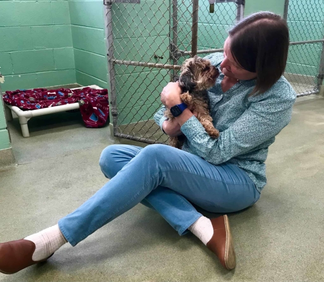 Yorkie stolen in Florida seven years ago found in Michigan and reunited with family