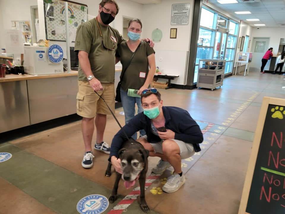 shadow-rescued2