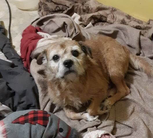 Special someone needed to heal the hurt of abandonment and a lonely heart