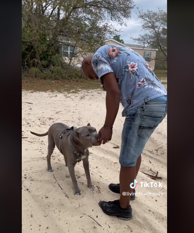 Former owner reunites with his dog 10 years after having to rehome him and our eyes well up with tears