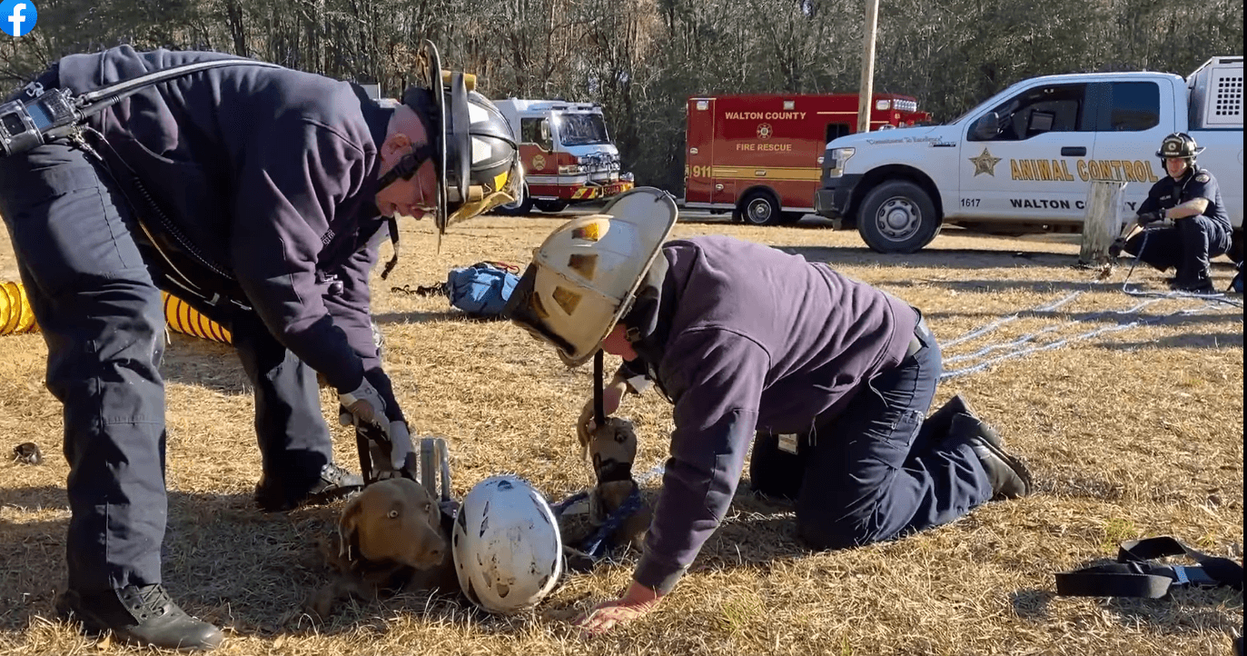 Florida firefighters rescue pup stuck in 15-foot-deep hole
