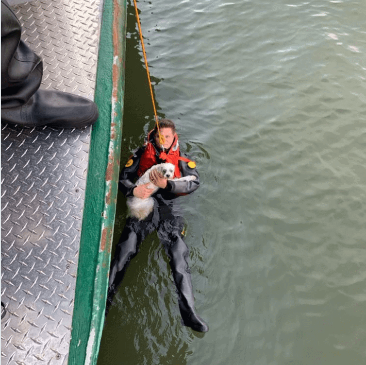 Dog owner rescued by Special Ops cops after jumping into Hudson River to save his dog