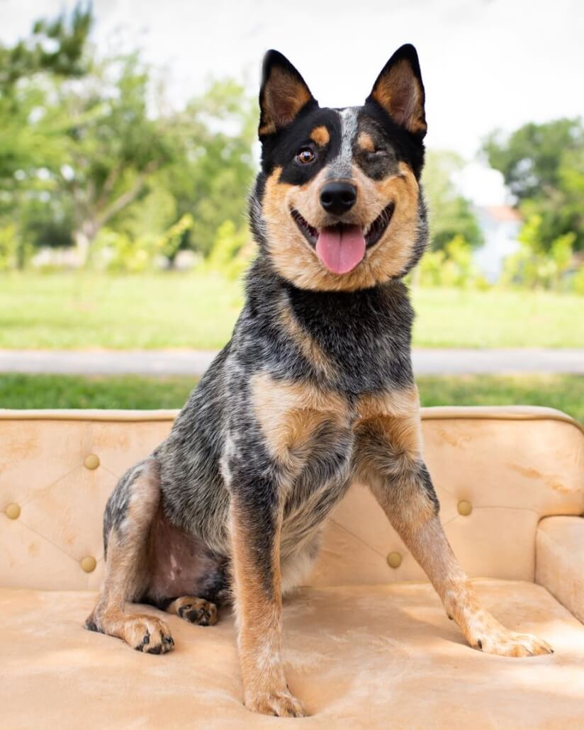spike-now1-824x1030-1