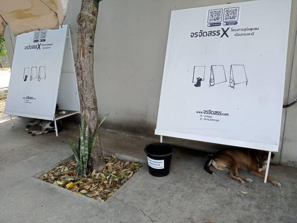 stand-for-strays-2-1030x773-1