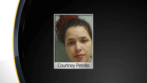 Woman alleged to have broken into home, stole puppy and tossed him from car