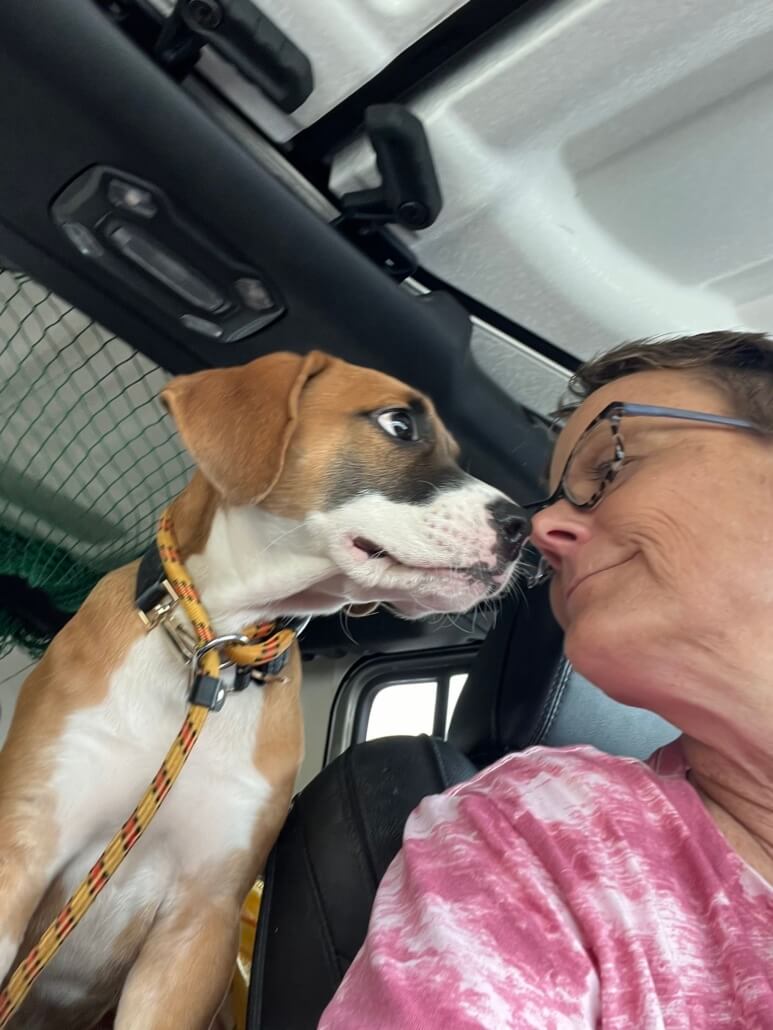 stray-rescue-puppy2-773x1030-1