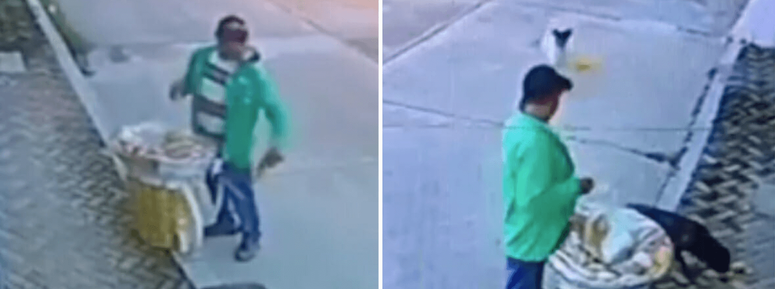 Kindness at its best: Street vendor spotted in Mexico feeding hungry, stray dogs