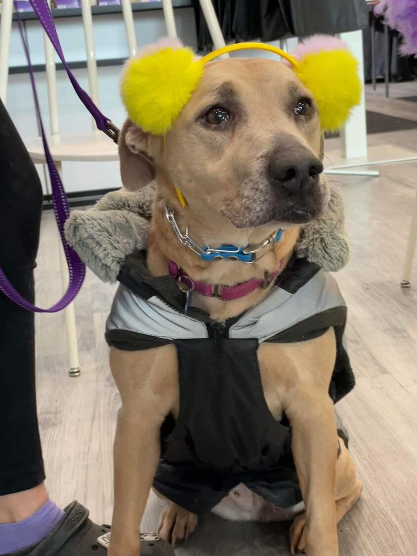 Waiting 2 years with tears in her eyes for someone to say she is the ‘one’ but no interest yet