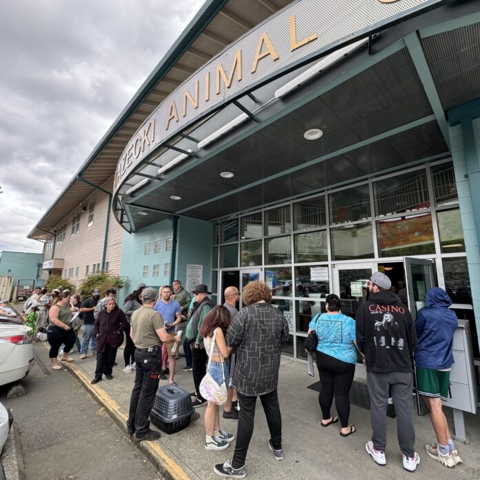 Community comes out in record numbers to adopt 274 pets in one week after shelter’s plea for help with overcrowding