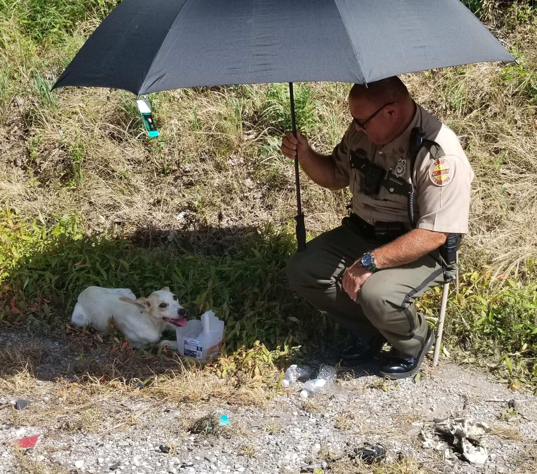 Tennessee Highway Trooper stopped and saved the life of an injured and parched pup on side of interstate highway