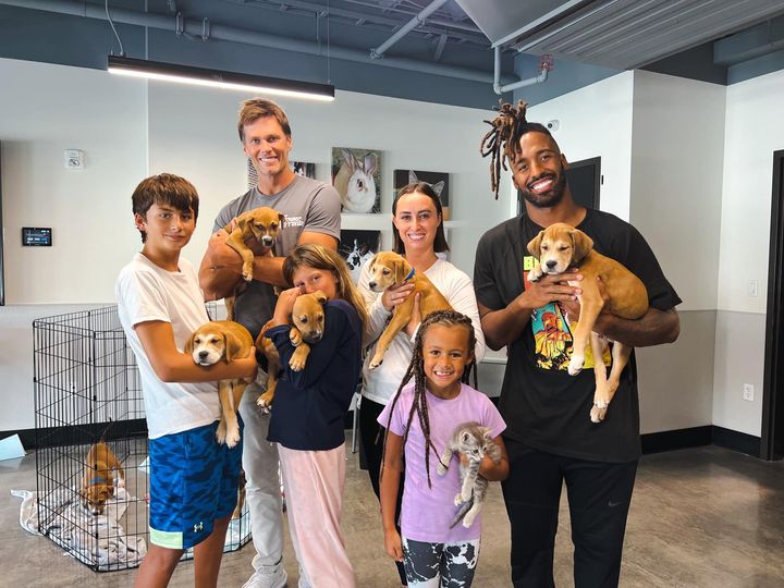 tom-brady-and-kittens-1