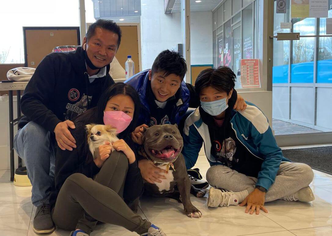 Puppy detained by Vaughan Animal Services because it may have been part pit bull released to owner