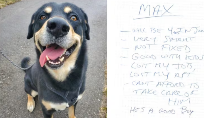 Toronto humane society