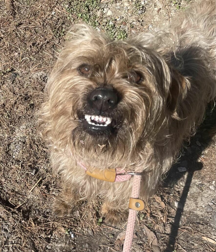 toto-1-884x1030-1