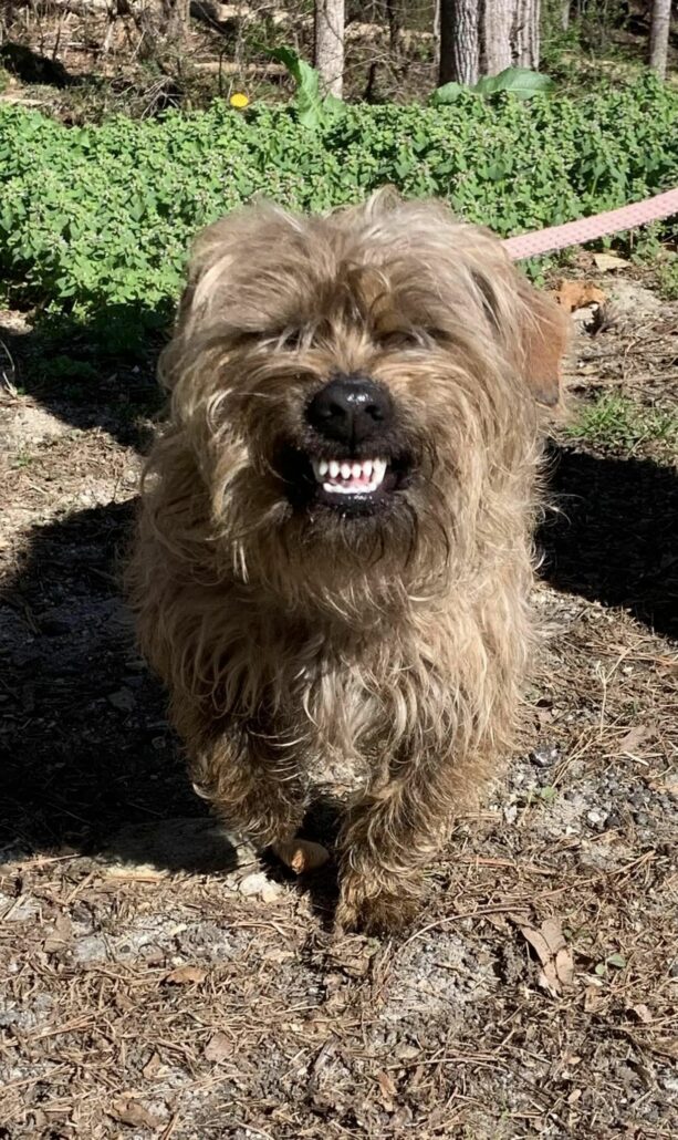 toto-613x1030-1