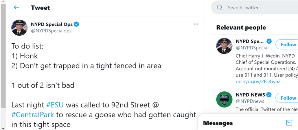 trapped-goose-1-1030x450-1