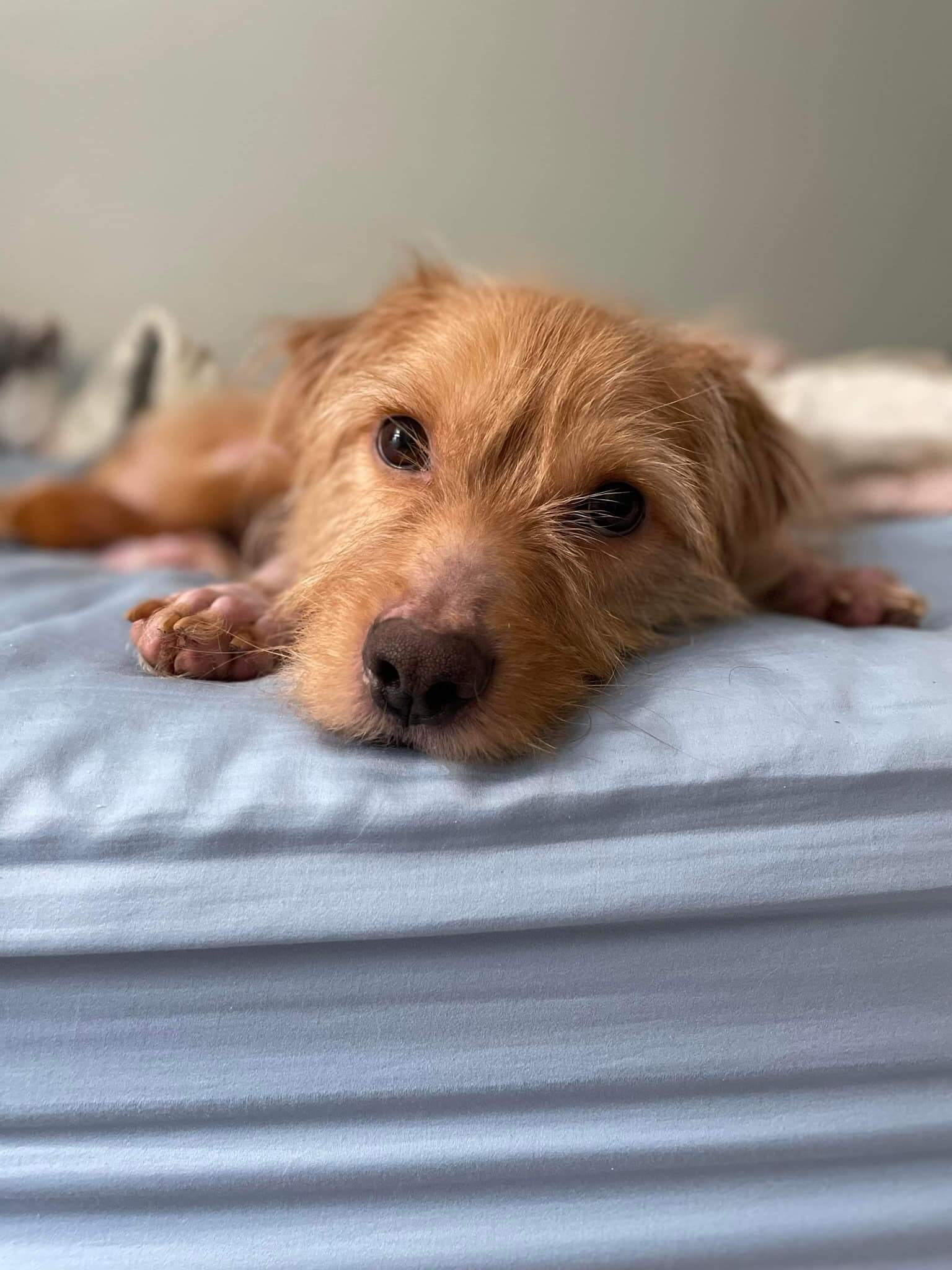 Miracle ‘Travolta’ discovered by Uber driver lying near death on side of road is unrecognizable as he recovers