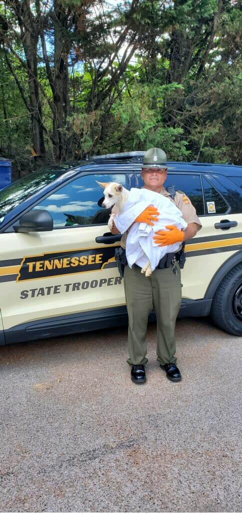 trooper-tudors