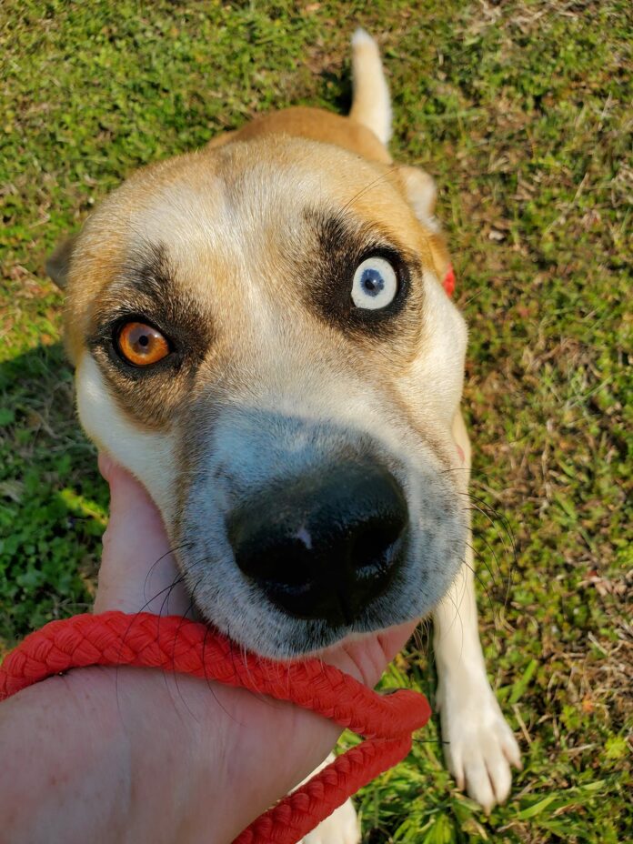 Heartbreaking: Tulpa’s last day because no one came