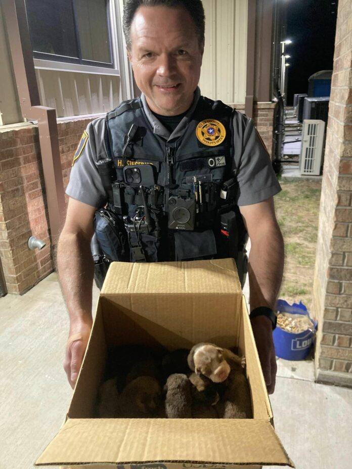 Sheriff deputies in Tulsa County come to the rescue of 7 newborn puppies