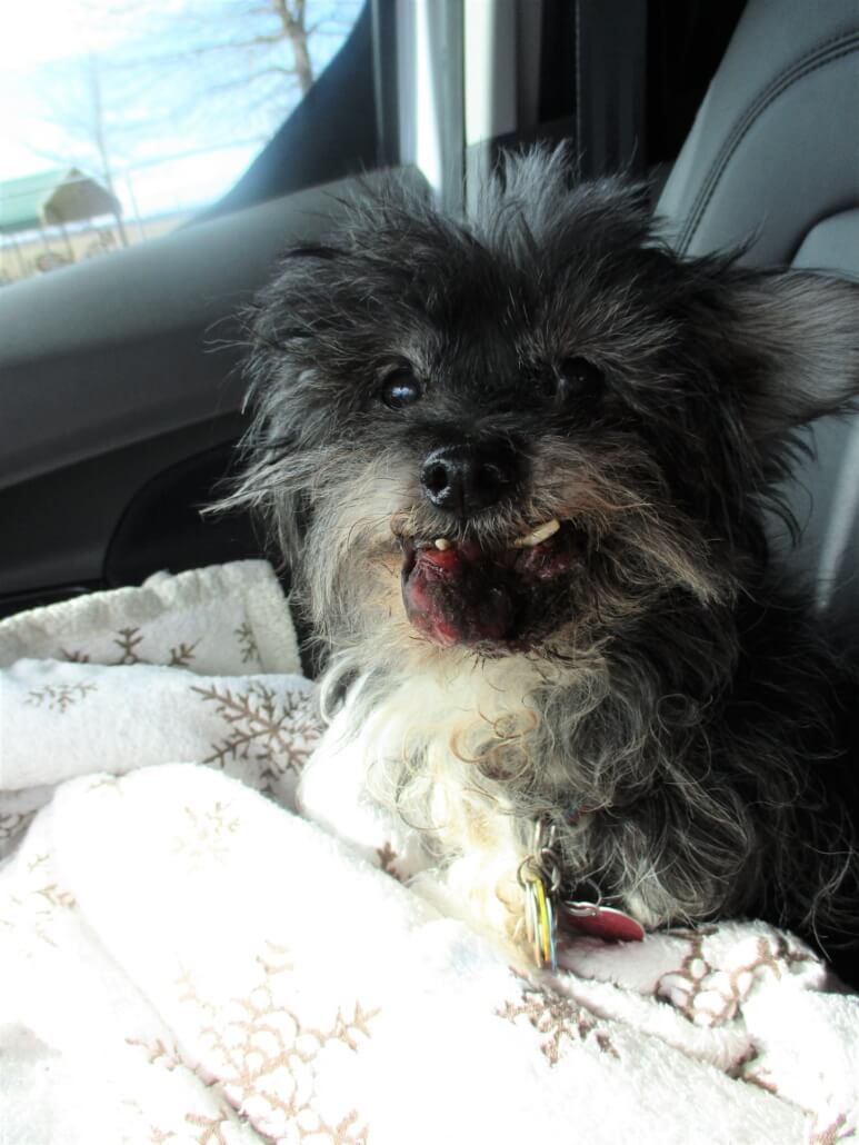 tunica-lucky-1-773x1030-1