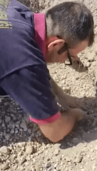 turkey-earthquake-dog