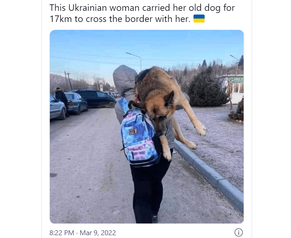 Ukrainian woman carried her elderly dog for 10 miles to the border to safety