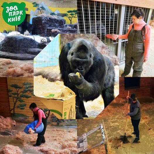ukraine-zoo1