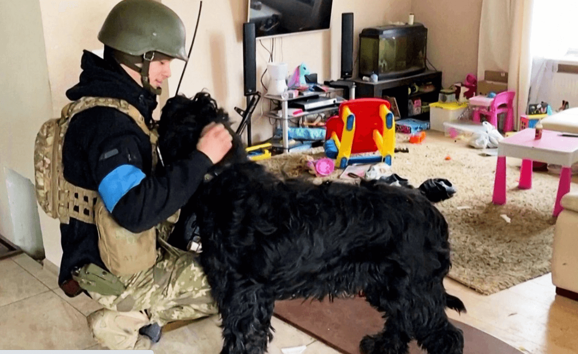 ukrainian dog