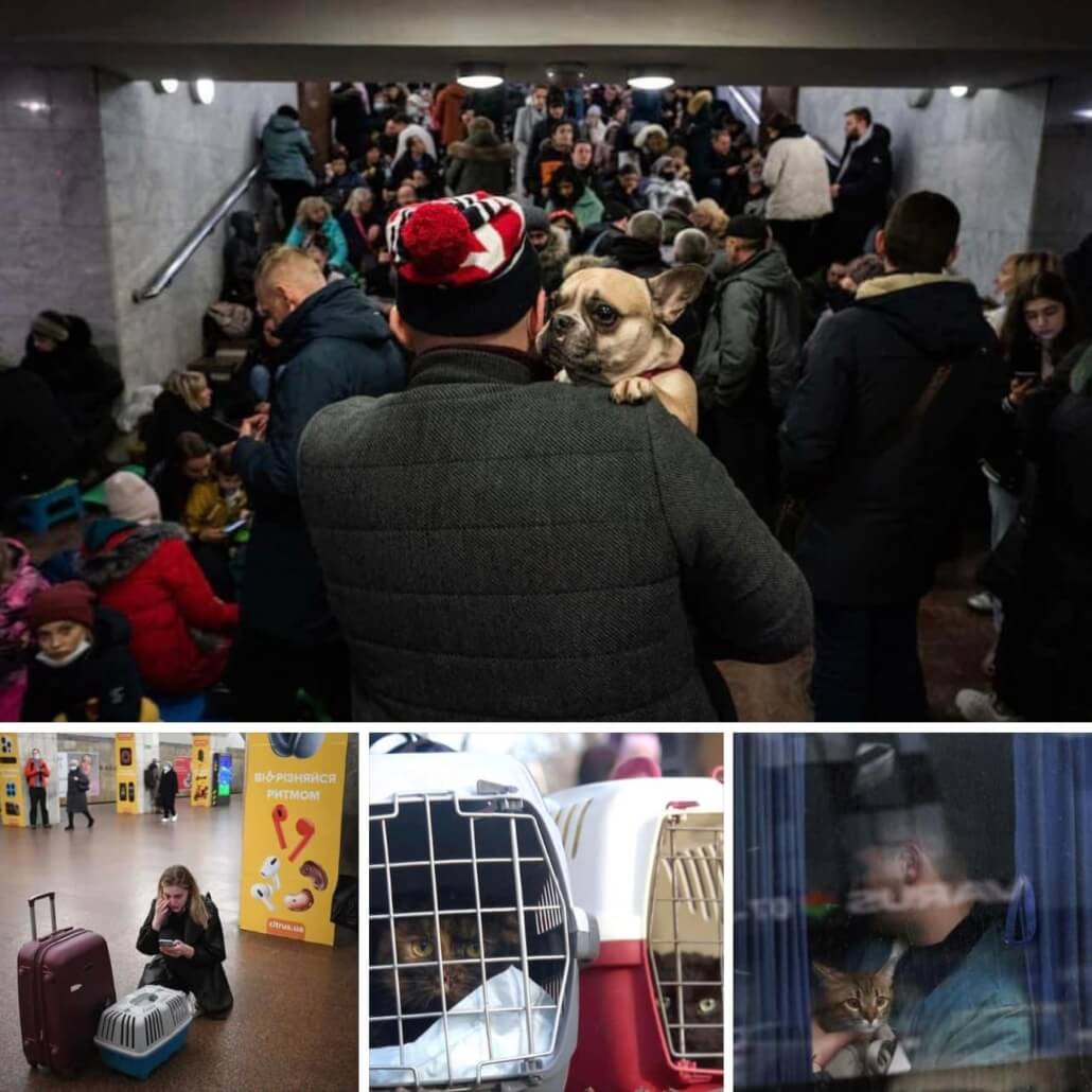 ukranians-fleeing-1030x1030-1