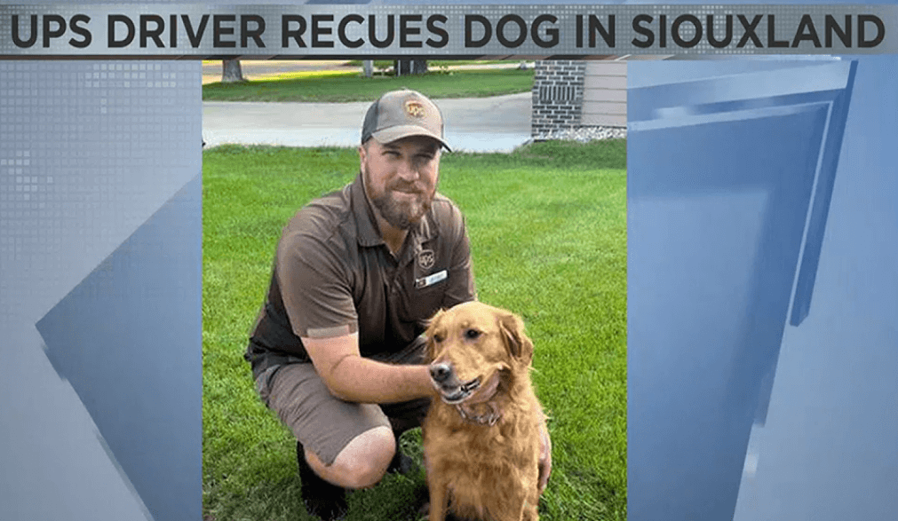 UPS driver saves two dogs trapped in family’s above ground pool