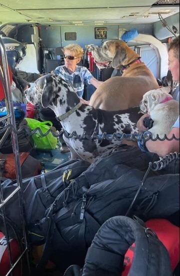 Coast Guard rescues stranded dogs as well as humans from Sanibel Island after Hurricane Ian