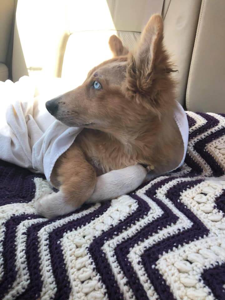 vinny3