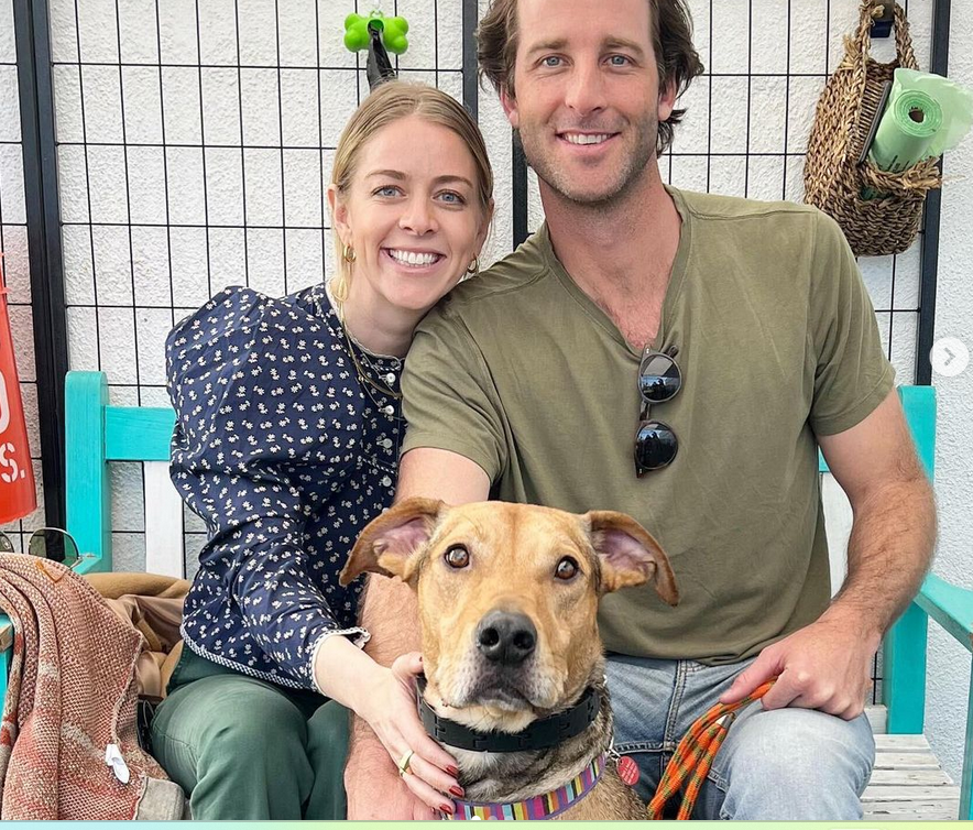 wags-and-walks