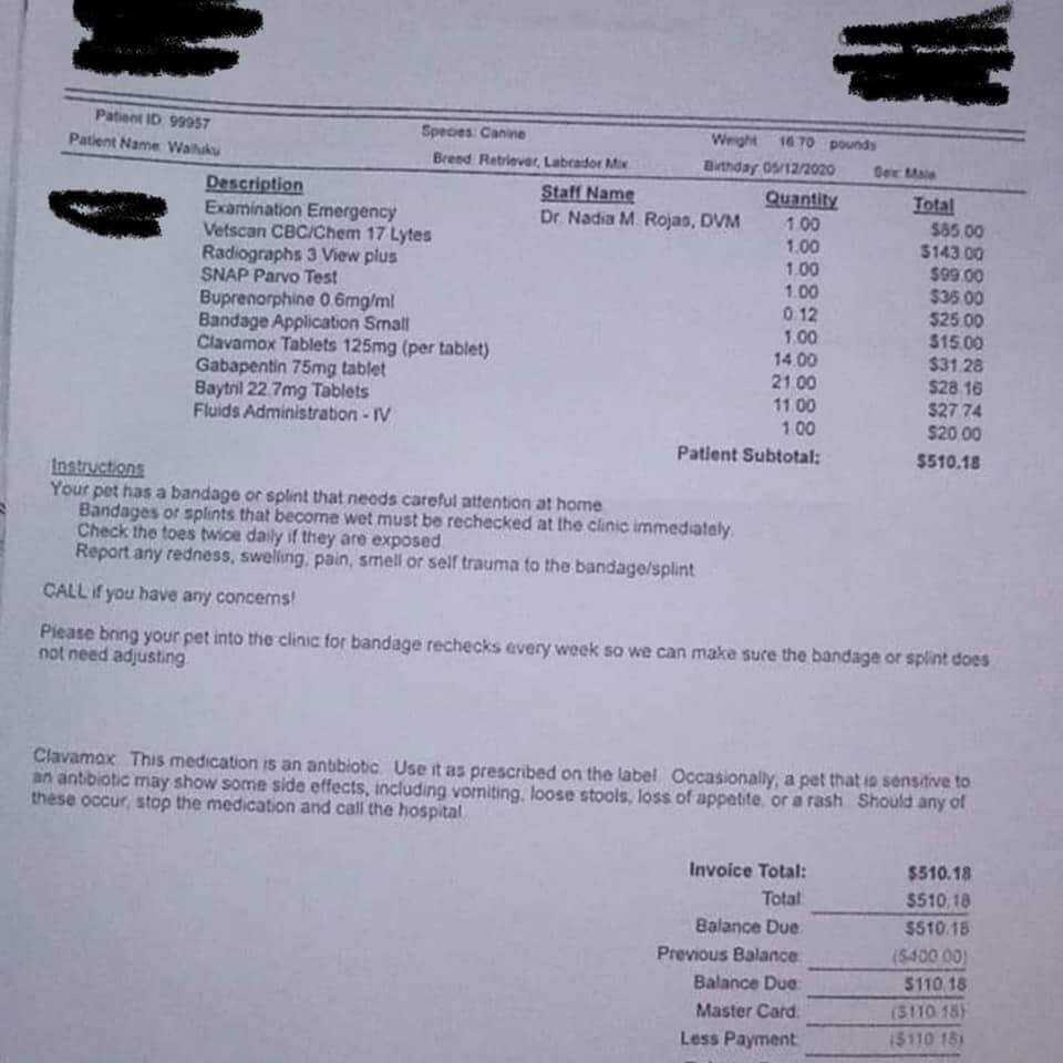 wally-leg-missing-1-1