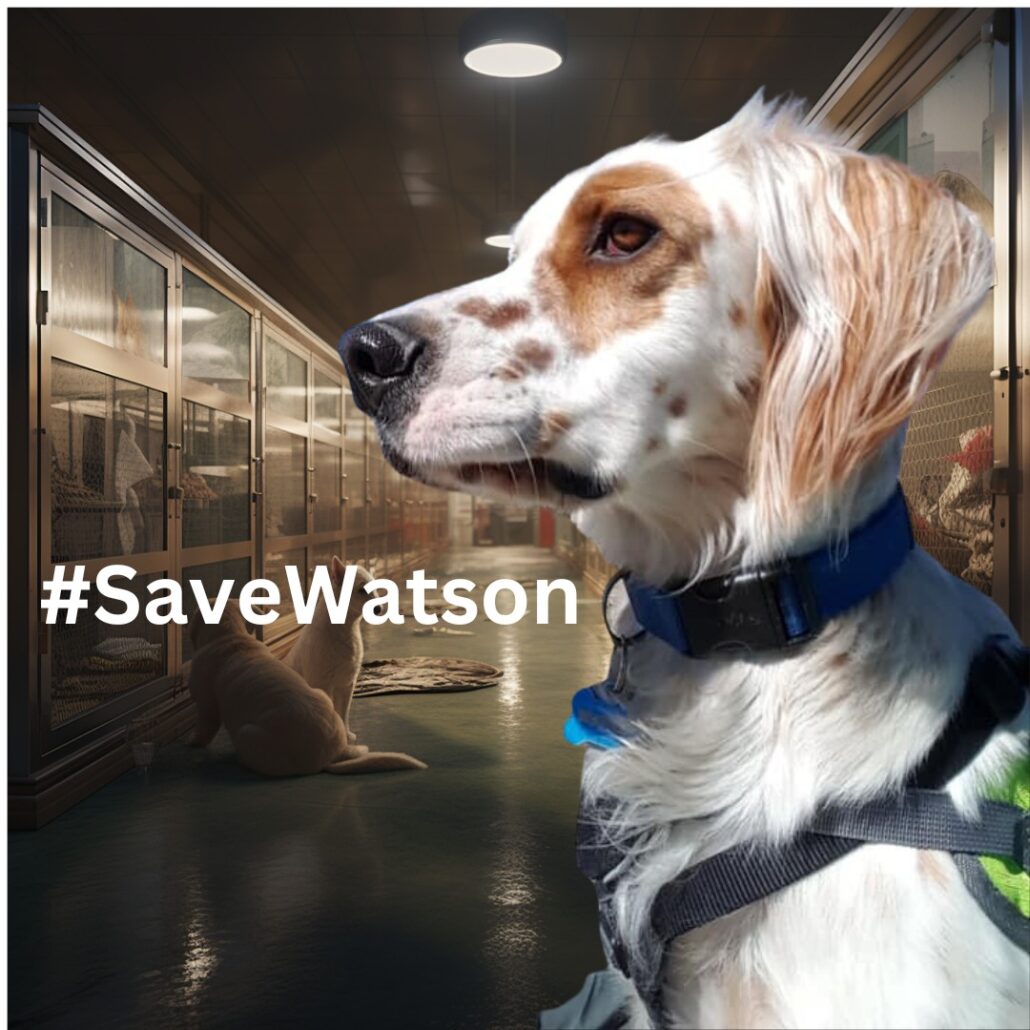 watsons-freedom-ride-1-1030x1030-1